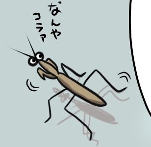 緑のカマキリと茶色のカマキリの違いは育った場所の違いではなかった！